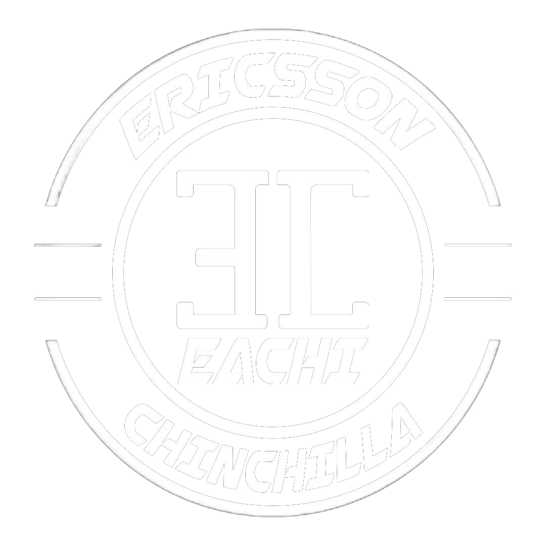 Logo de EACHI.COM